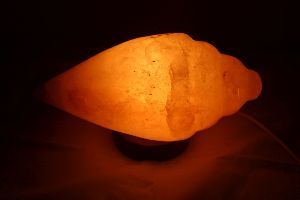 Himalayan Salt Shankh Shaped Lamp