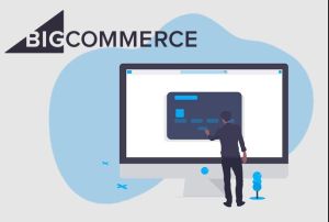 Bigcommerce Developers