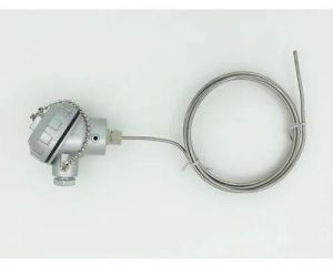 thermocouple rtd