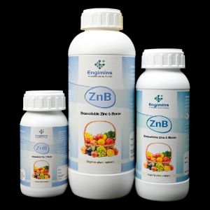 ENGIMINS ZnB