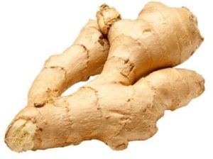 Ginger