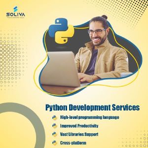 Hire Python/Django Developers - Soliva Technologies