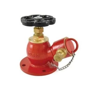 Fire Hydrant Valve