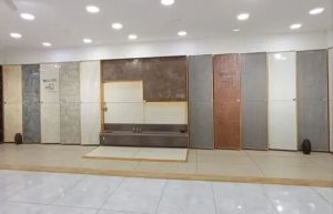 Somany Vitrified Tiles