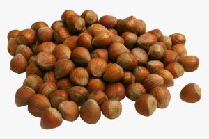 Hazelnuts