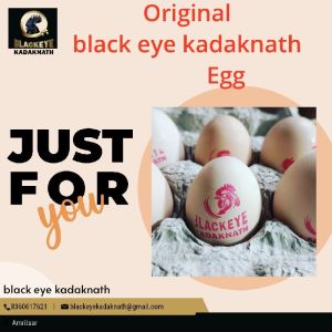 Kadaknath chiken egg