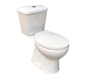 Floor Mounted Toilet