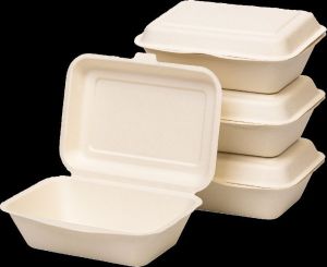 Bagasse