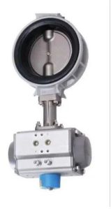 Pneumatic Butterfly Valve