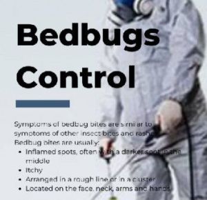 Pest Control Service