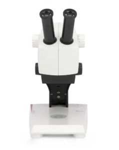 Stereo Microscope