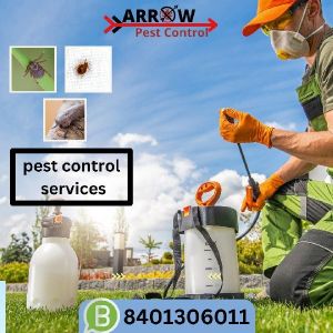 best pest control service