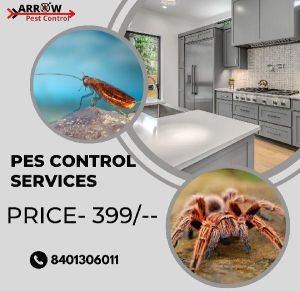 Home Pest Control