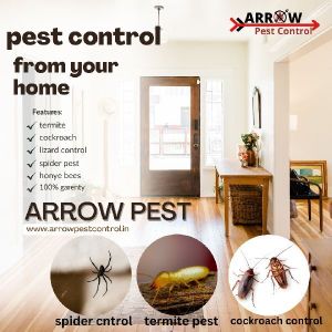 Pest Control Service