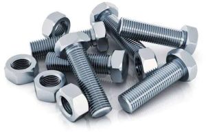 Stainless Steel Nut