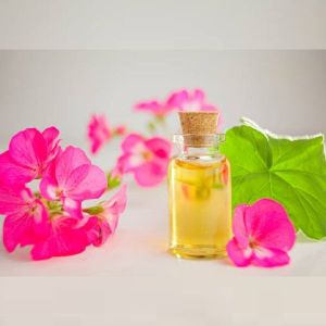 Geranium Essential Oil