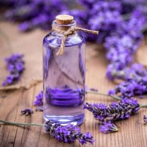 Lavender Essential Oil