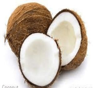 Coconut