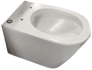 Wall Hung Toilet