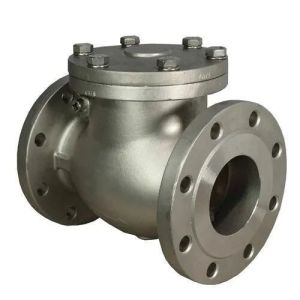 Swing Check Valve