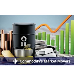 Commodities Portfolio Management Services