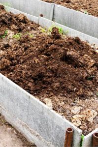 compost