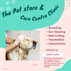 Pet Grooming Service