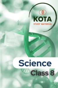 Class 8 Science Book