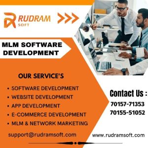 mlm software development service