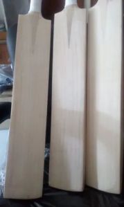 Classpo English Willow Cricket Bat