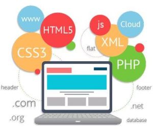 Website Development Services