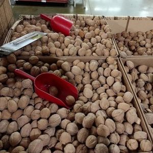 Shelled Walnuts