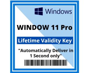 Windows 11 Pro Product Key