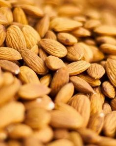 1836 Almond Nuts