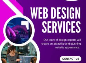 Best Web Design Services