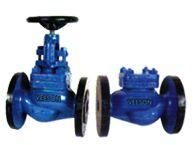 Globe Steam Stop Valve