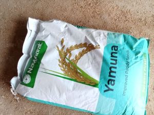 navabharth yamuna 10 kg paddy seed