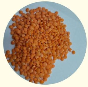 Red Masoor Dal