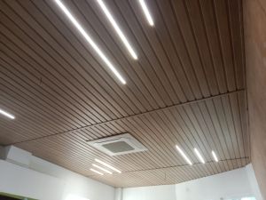 Soffit Panel