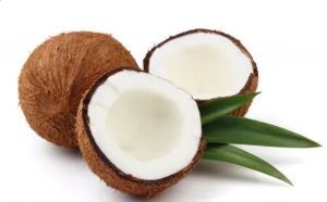 Natural Coconut