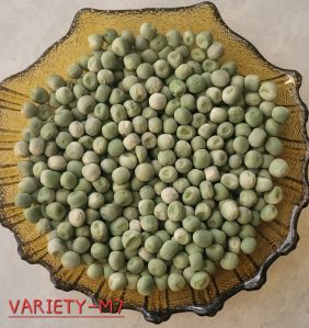 M7 Dried Green Peas