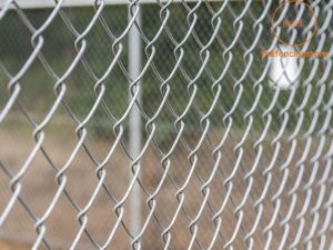 Chain Link Fence