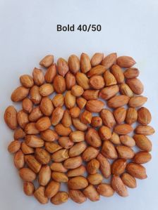 Peanuts - BOLD 40-50