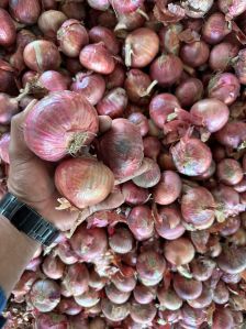 Red Onion