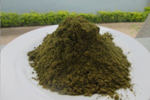 Soursop tea powder