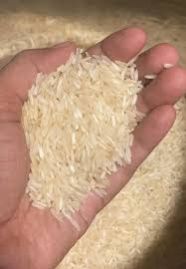 Non Basmati Rice