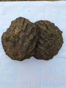 Cow Dung Cake