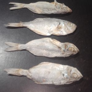 Dry Kitli fish