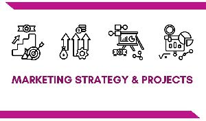 marketing strategy development