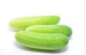 Cucumber